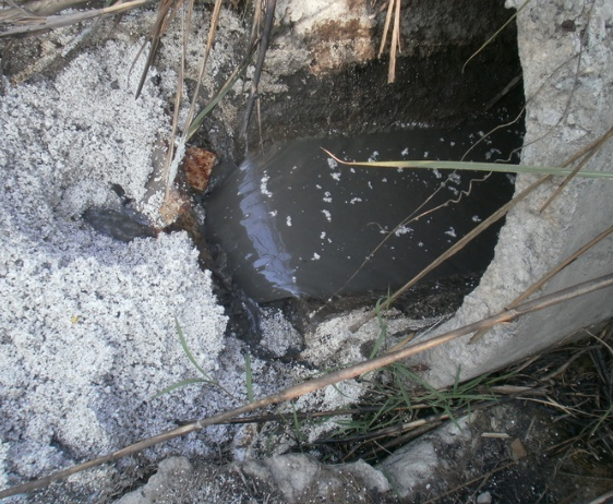 水質(zhì)檢測機構