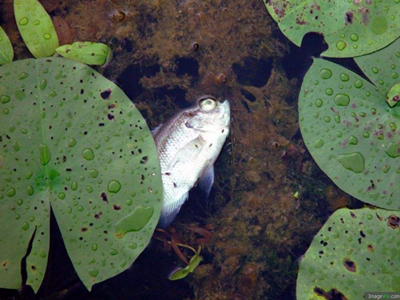 深圳水質(zhì)檢測機(jī)構(gòu) 深圳水質(zhì)檢測機(jī)構(gòu)