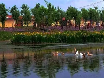 第三方水質(zhì)檢測(cè)機(jī)構(gòu) 第三方水質(zhì)檢測(cè)機(jī)構(gòu)