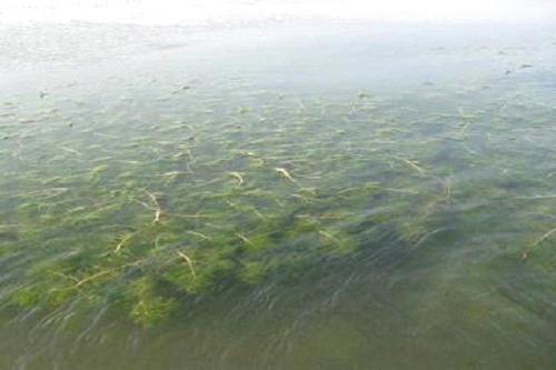 深圳水質(zhì)檢測(cè)機(jī)構(gòu) 深圳水質(zhì)檢測(cè)機(jī)構(gòu)